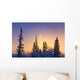 Spruce Trees Silhouetted against Wall Decal