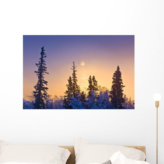 Spruce Trees Silhouetted against Wall Decal