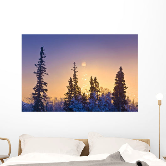 Spruce Trees Silhouetted against Wall Decal