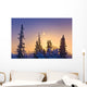 Spruce Trees Silhouetted against Wall Decal
