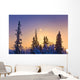 Spruce Trees Silhouetted against Wall Decal