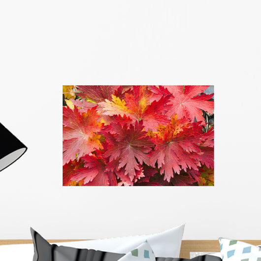 Closeup Detail Autumn Foliage Wall Decal