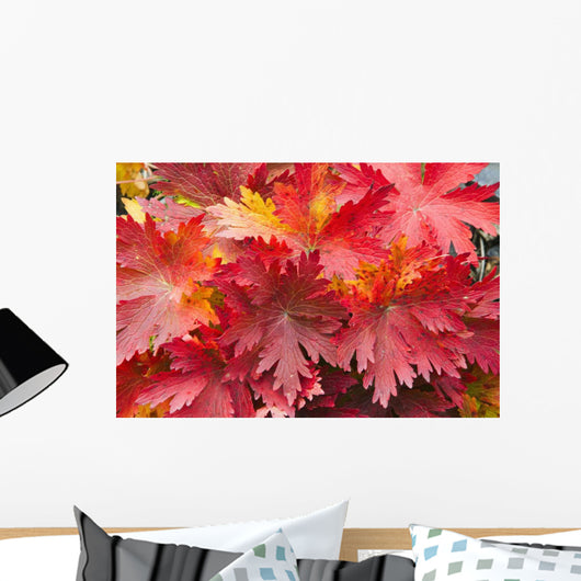 Closeup Detail Autumn Foliage Wall Decal