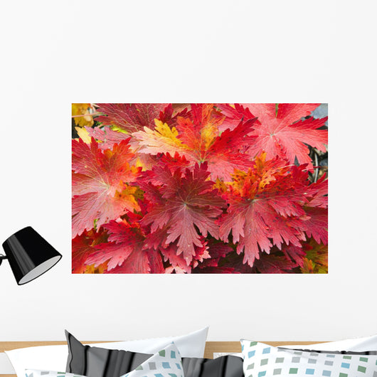 Closeup Detail Autumn Foliage Wall Decal