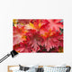Closeup Detail Autumn Foliage Wall Decal