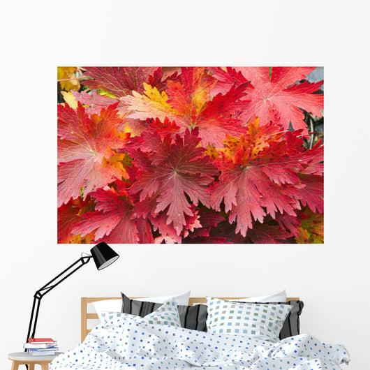 Closeup Detail Autumn Foliage Wall Decal