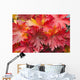 Closeup Detail Autumn Foliage Wall Decal