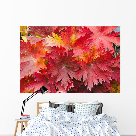 Closeup Detail Autumn Foliage Wall Decal