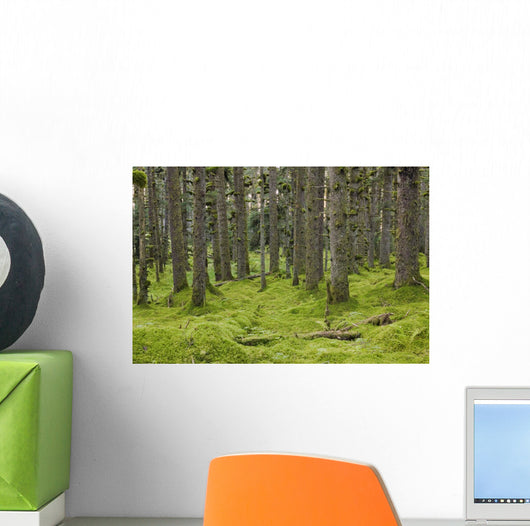 Spruce Forest Moss near Wall Decal