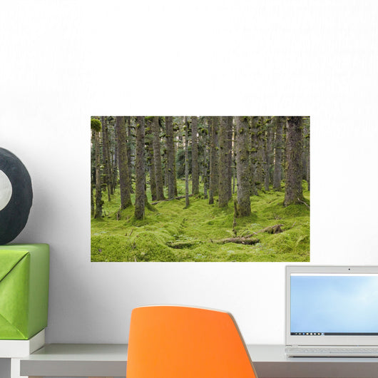Spruce Forest Moss near Wall Decal