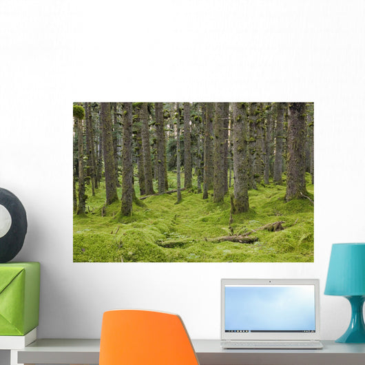 Spruce Forest Moss near Wall Decal