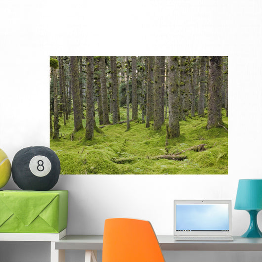 Spruce Forest Moss near Wall Decal