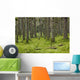 Spruce Forest Moss near Wall Decal