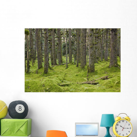 Spruce Forest Moss near Wall Decal