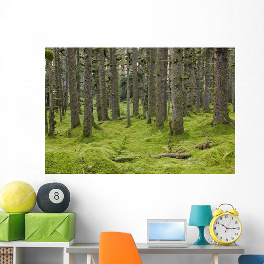 Spruce Forest Moss near Wall Decal