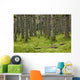 Spruce Forest Moss near Wall Decal