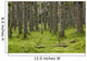 Spruce Forest Moss near Wall Decal