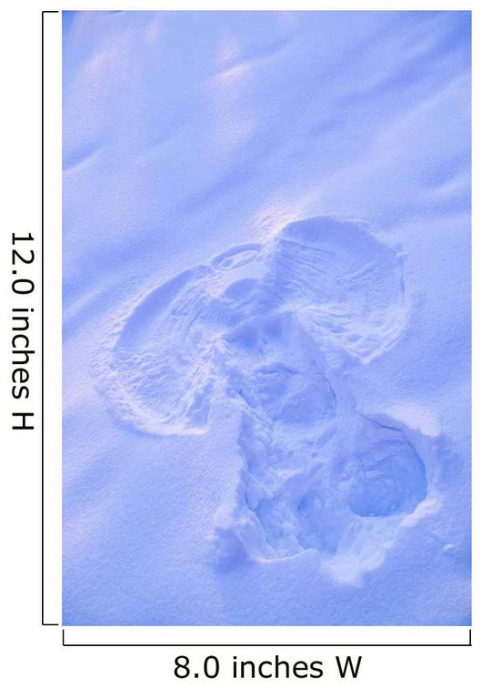 Up Snow Angel Sunset Wall Decal