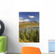 Susitna River near Denali Wall Decal