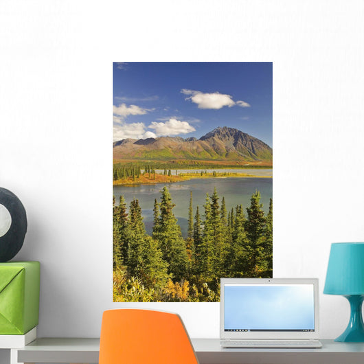 Susitna River near Denali Wall Decal