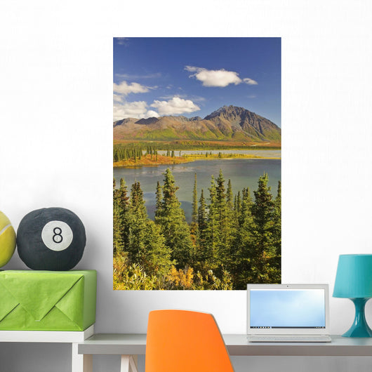 Susitna River near Denali Wall Decal