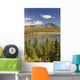 Susitna River near Denali Wall Decal