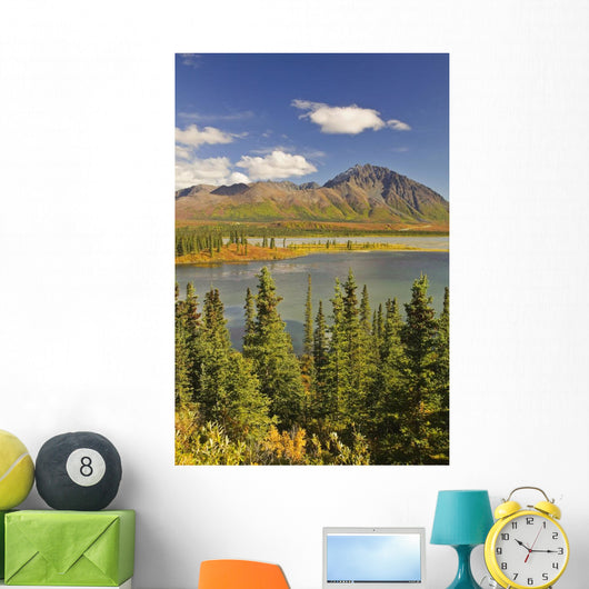 Susitna River near Denali Wall Decal