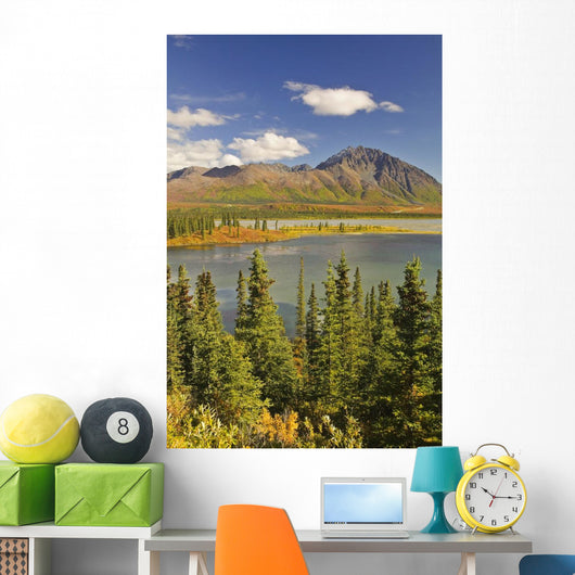 Susitna River near Denali Wall Decal