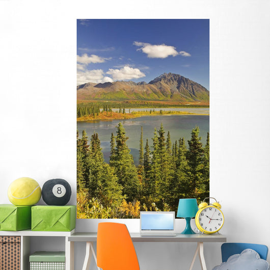 Susitna River near Denali Wall Decal