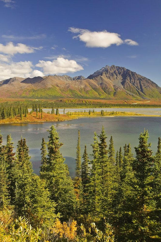 Susitna River near Denali Wall Decal