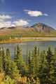 Susitna River near Denali Wall Decal