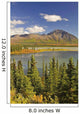 Susitna River near Denali Wall Decal