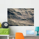 Ripples Surface Ocean from Wall Decal