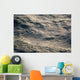 Ripples Surface Ocean from Wall Decal