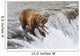 Adult Brown Bear Fishing Wall Decal