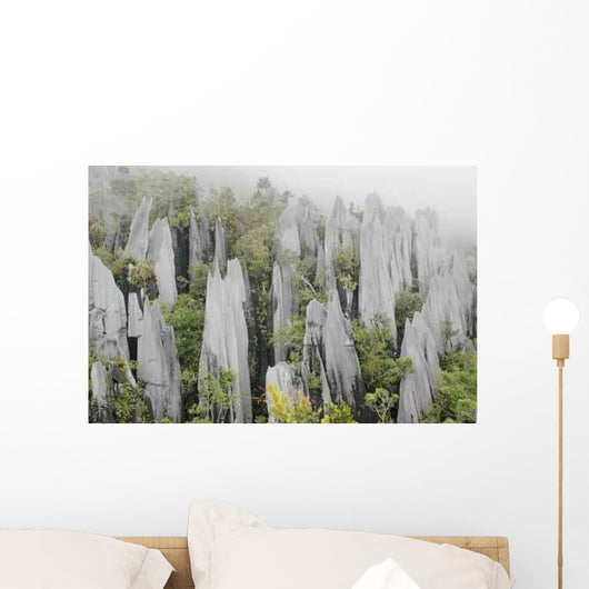 Pinnacles Gunung Mulu National Wall Decal Design 1