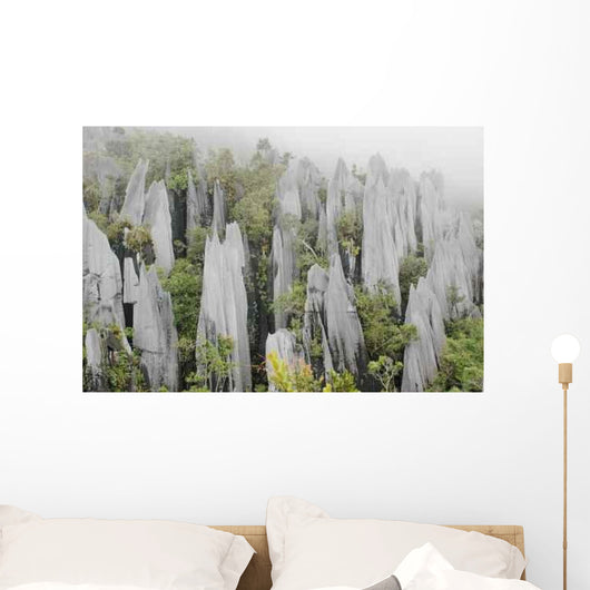 Pinnacles Gunung Mulu National Wall Decal Design 1