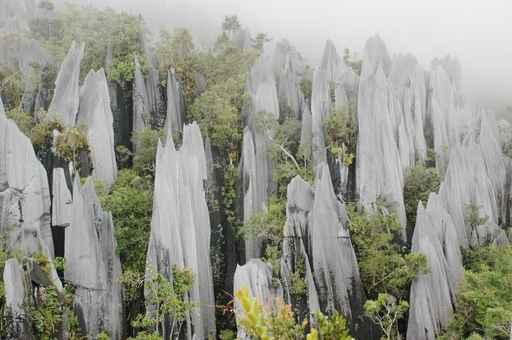 Pinnacles Gunung Mulu National Wall Decal Design 1