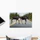 Two Young Moose Calves Wall Decal