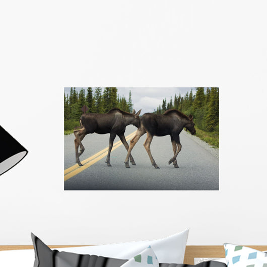 Two Young Moose Calves Wall Decal
