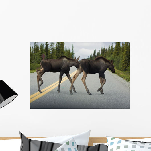 Two Young Moose Calves Wall Decal