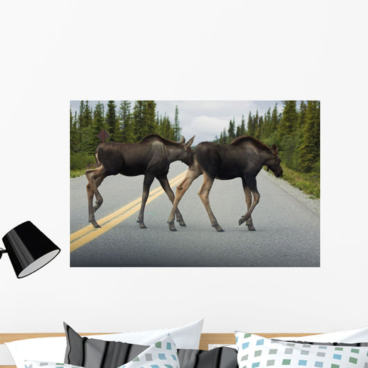 Two Young Moose Calves Wall Decal