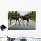 Two Young Moose Calves Wall Decal