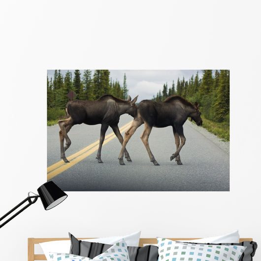 Two Young Moose Calves Wall Decal