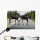 Two Young Moose Calves Wall Decal