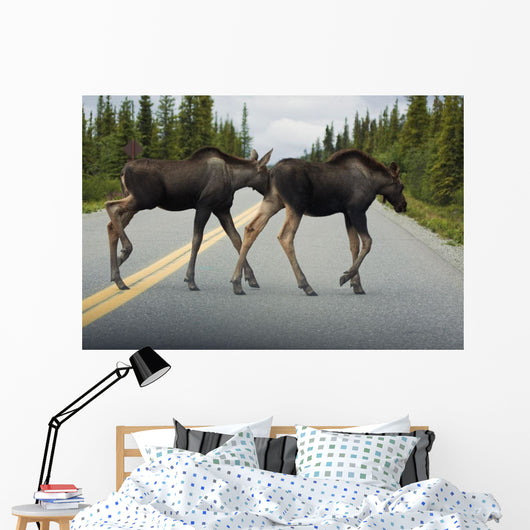 Two Young Moose Calves Wall Decal