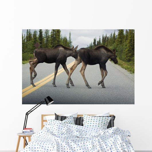 Two Young Moose Calves Wall Decal