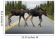 Two Young Moose Calves Wall Decal
