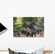 Bull Moose and Cow Wall Decal