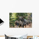 Bull Moose and Cow Wall Decal
